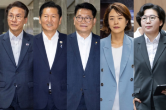 민주당 당대표 후보 5인 '군 복무 경험 제로'… 86 남성은 '수형 면제', 여성은 '의무 제외'